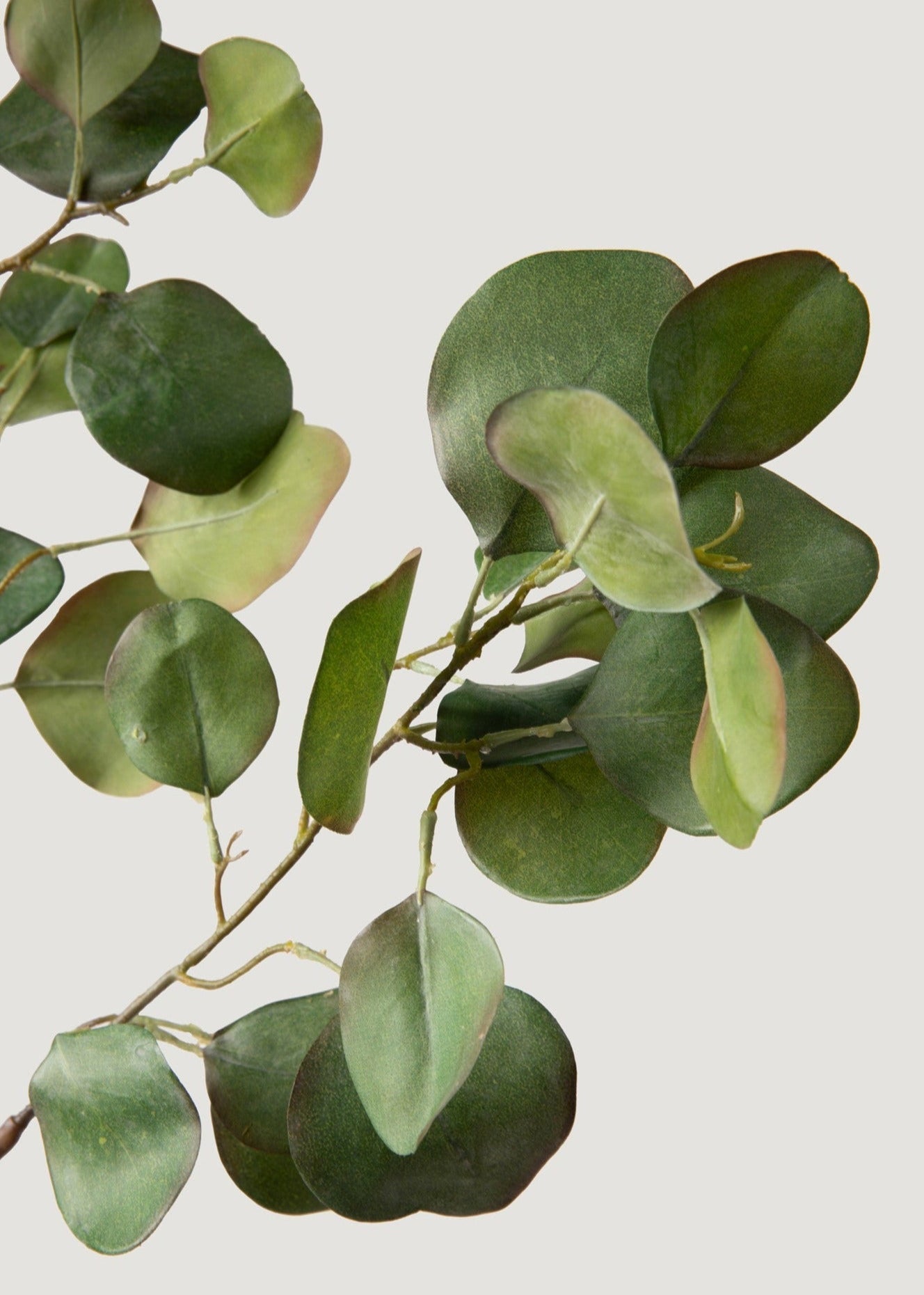 Silver Artificial Eucalyptus Branch for Home Decor