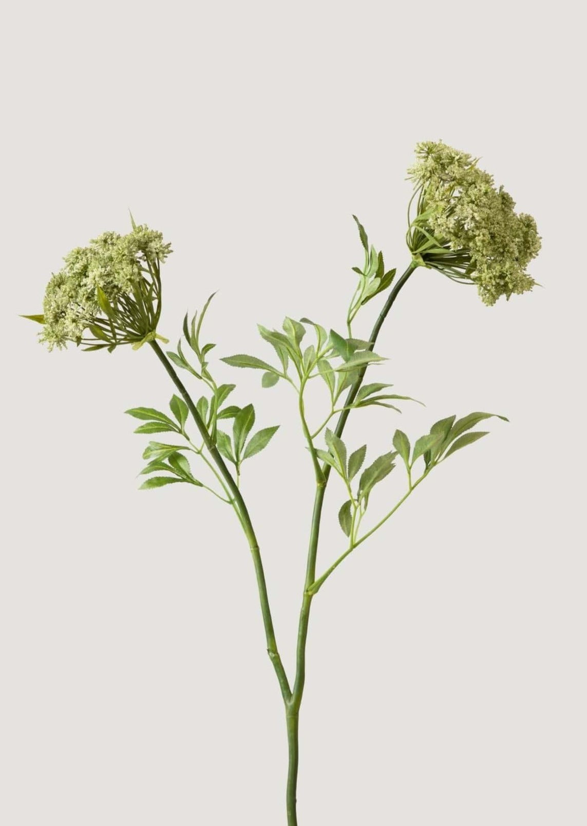 White Artificial Queen Anne's Lace Stem for Vase Styling