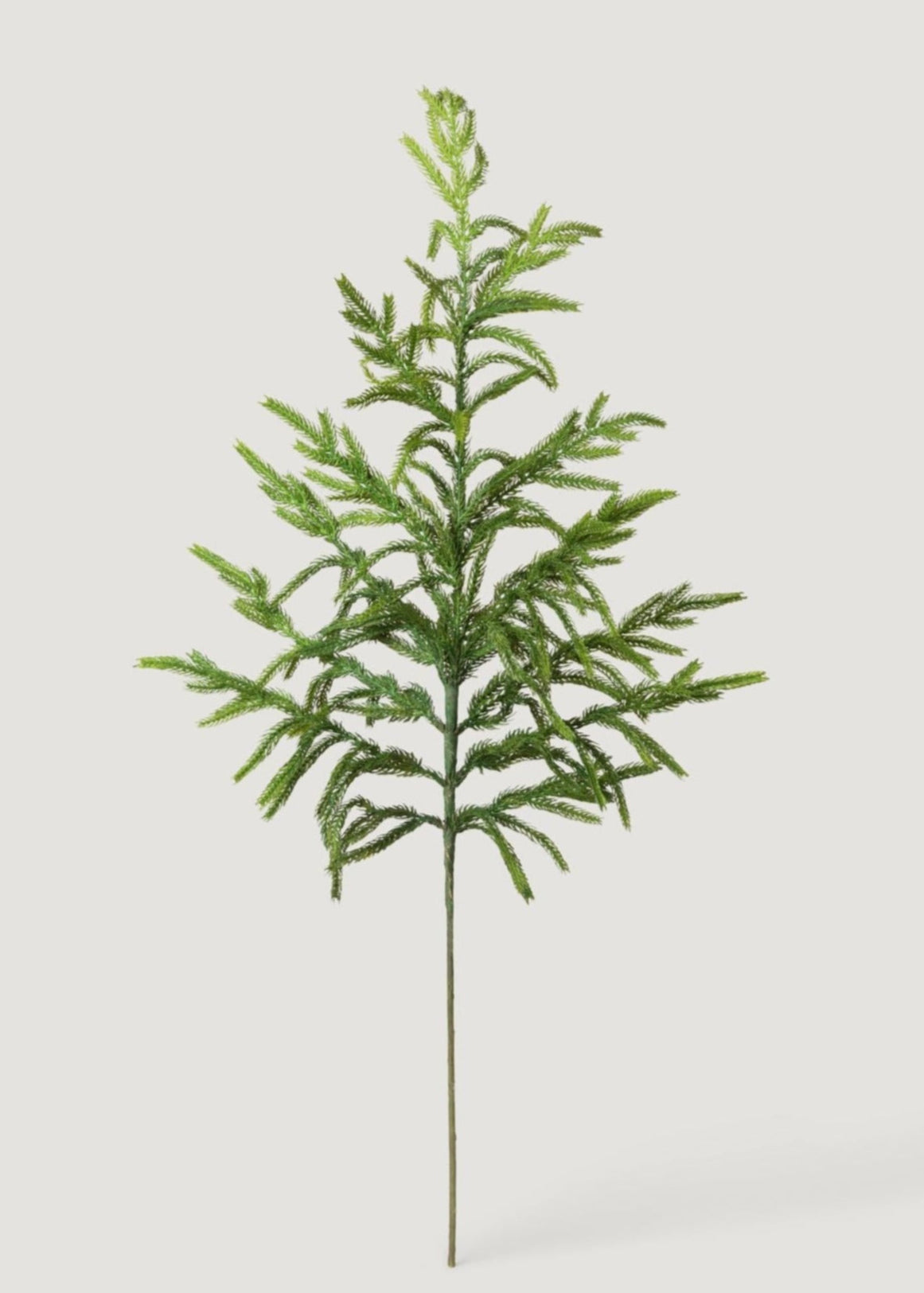 Real touch Norfolk pine branch for winter vase arrangements