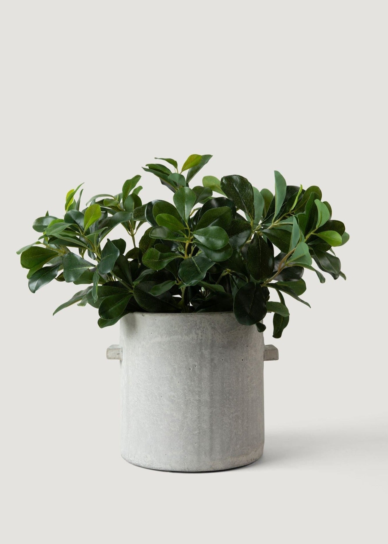 Natural Green Artificial Privet Stem for Entryway Arrangement