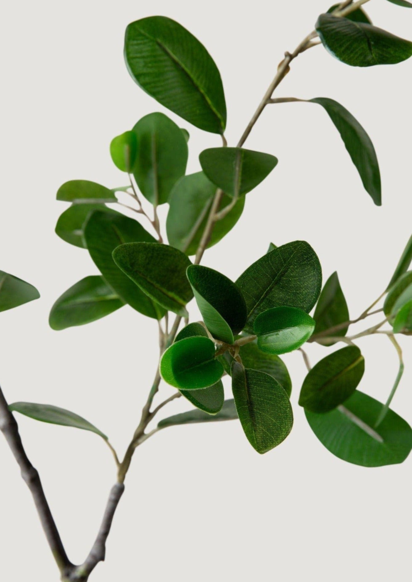 Green Artificial Italian Ficus Branch for Wedding Decor