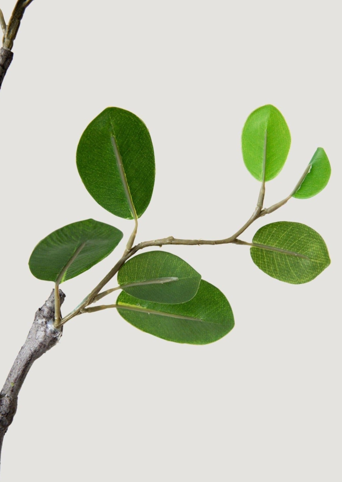 Green Artificial Italian Ficus Branch for Entryway Arrangement