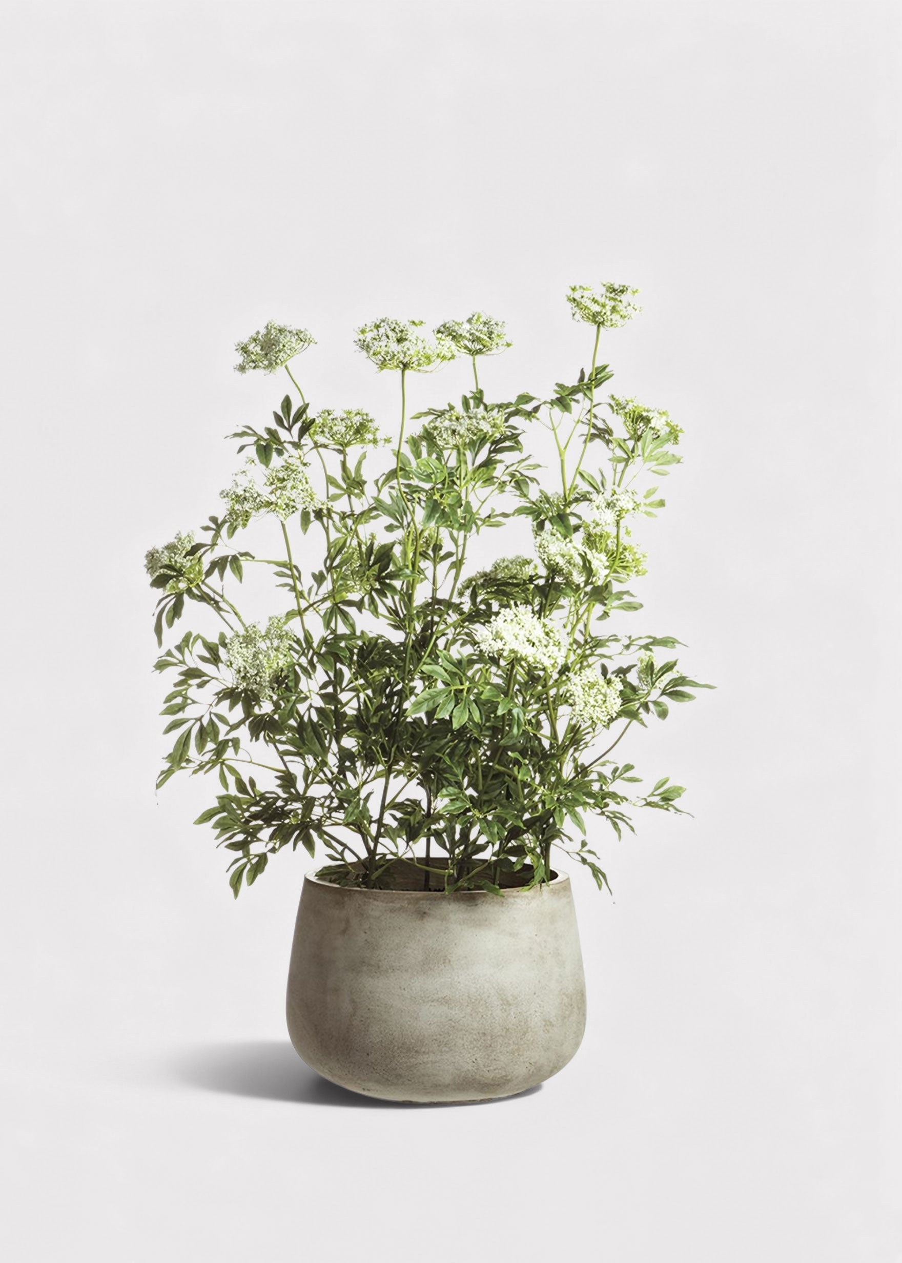 Artificial Queen Anne's Lace Arrangement for Vase Styling