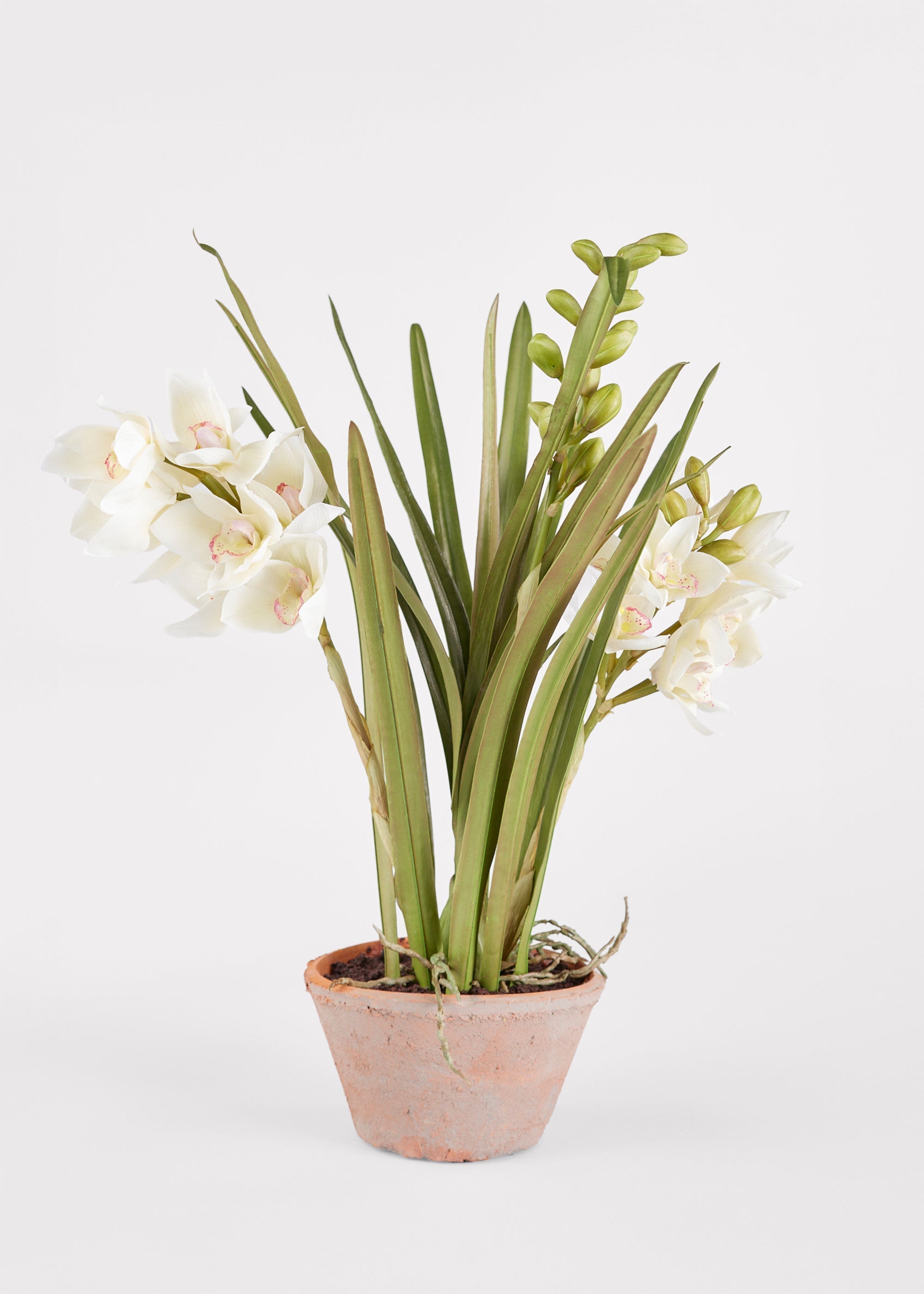 Artificial Orchid Arrangement for Home Decor