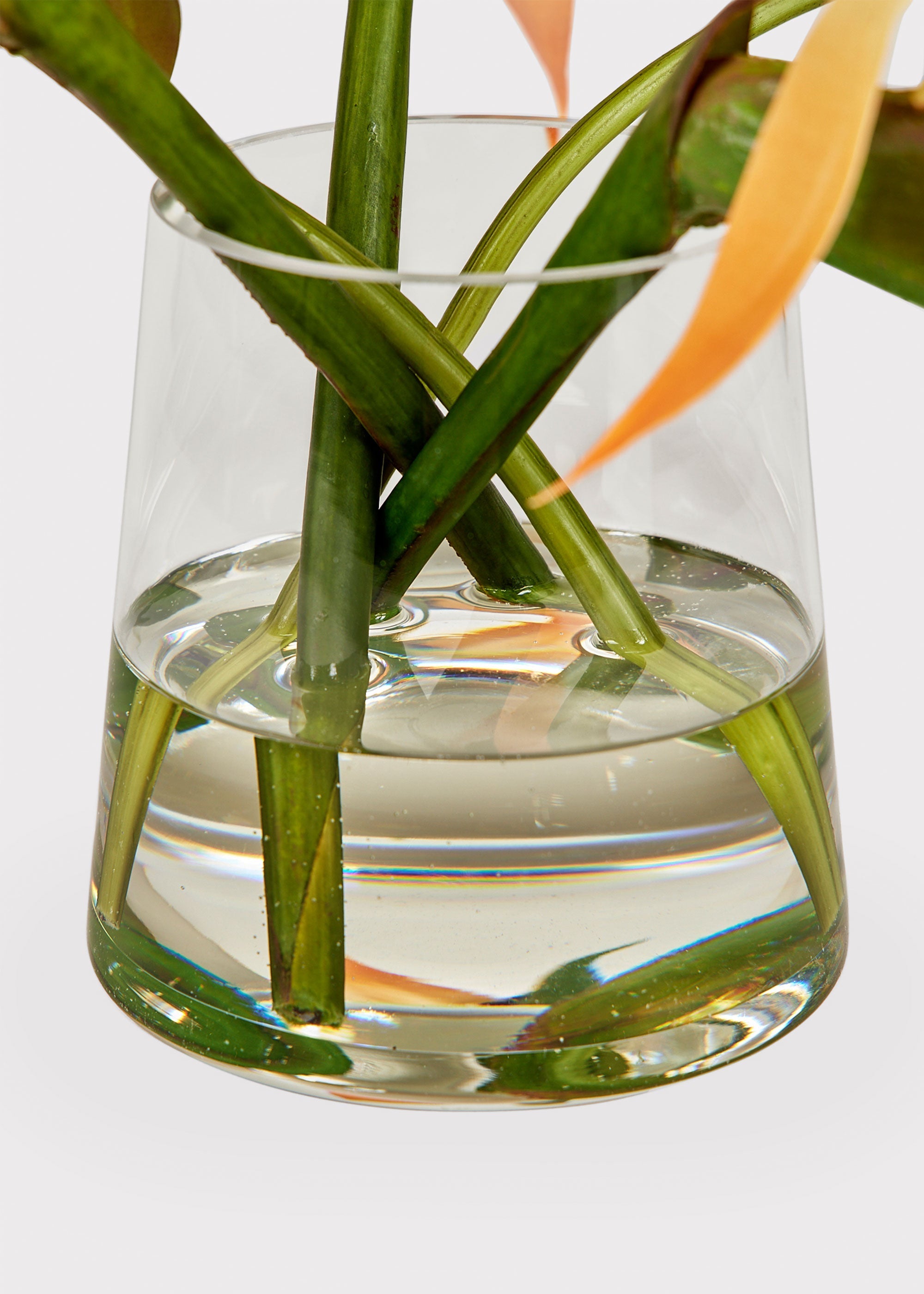 Clear Artificial Tropical Bird Of Paradise Arrangement for Shelf Styling