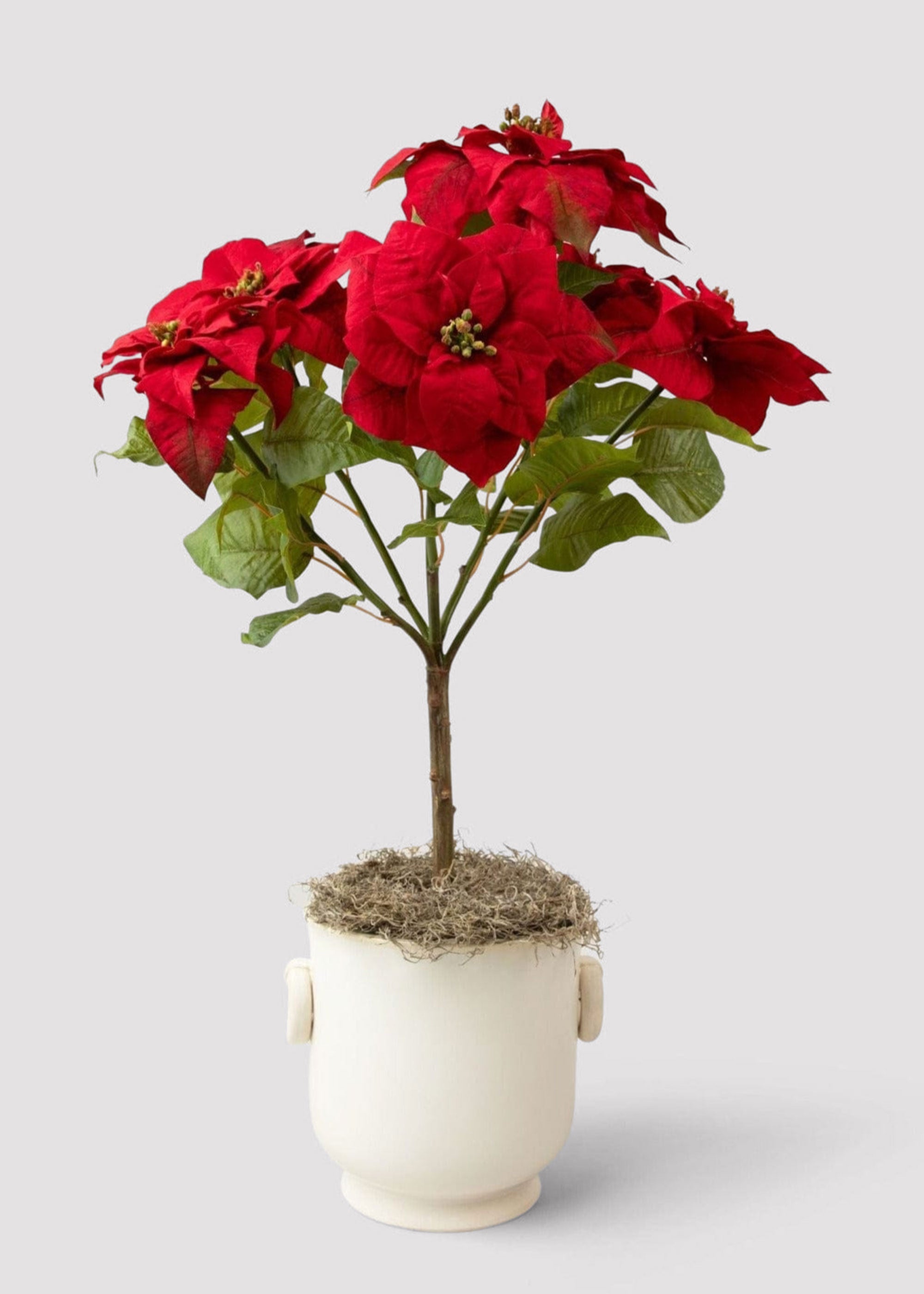 Green Artificial Poinsettia Arrangement for Entryway Arrangement