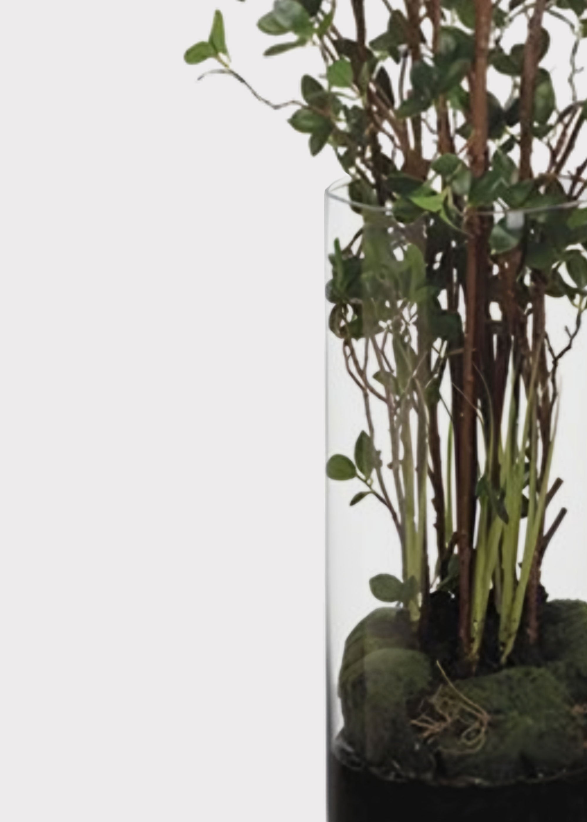 Clear Tree for Home Decor