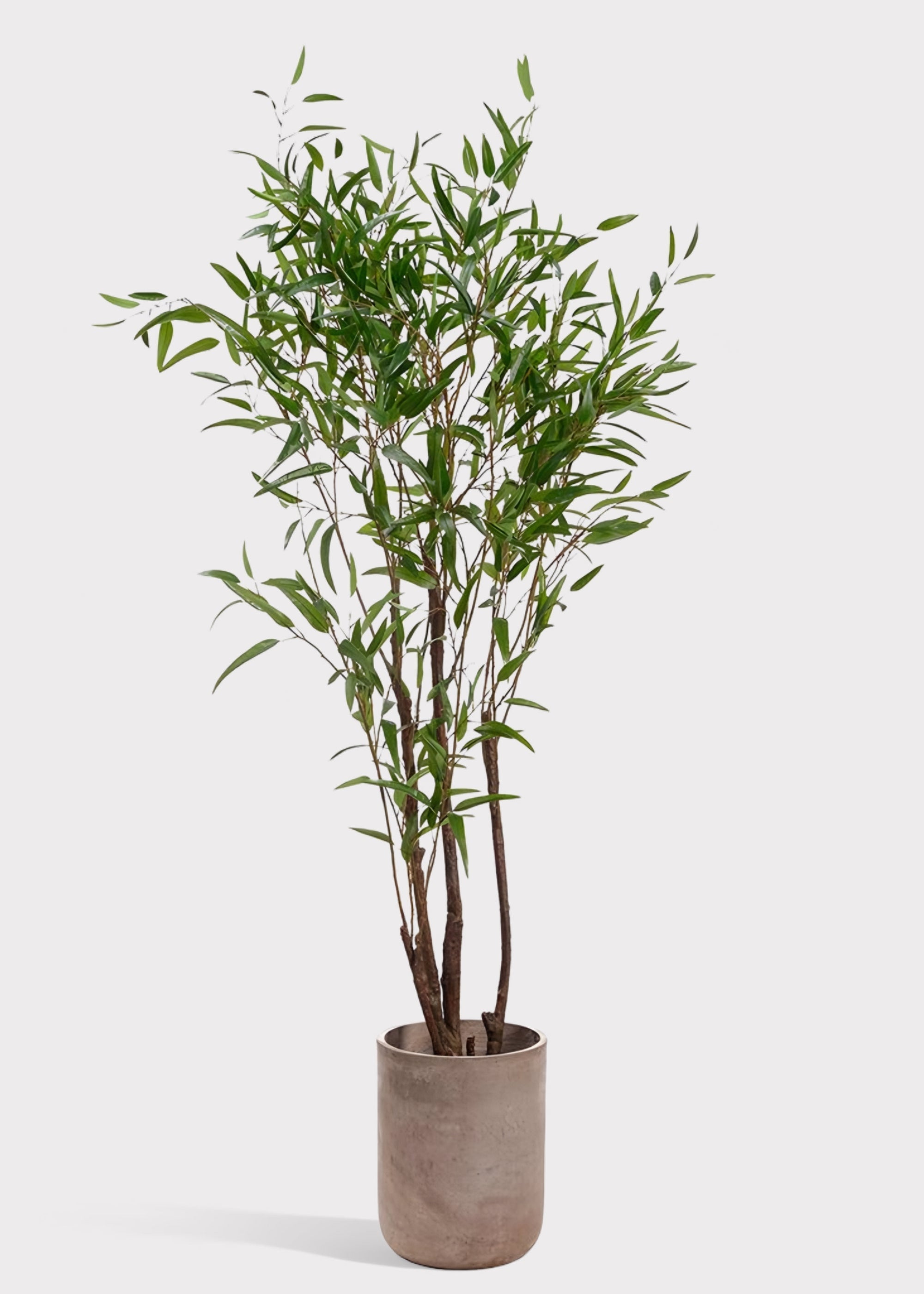 Green Artificial Deluxe Tall Bamboo Tree Potted for Vase Styling