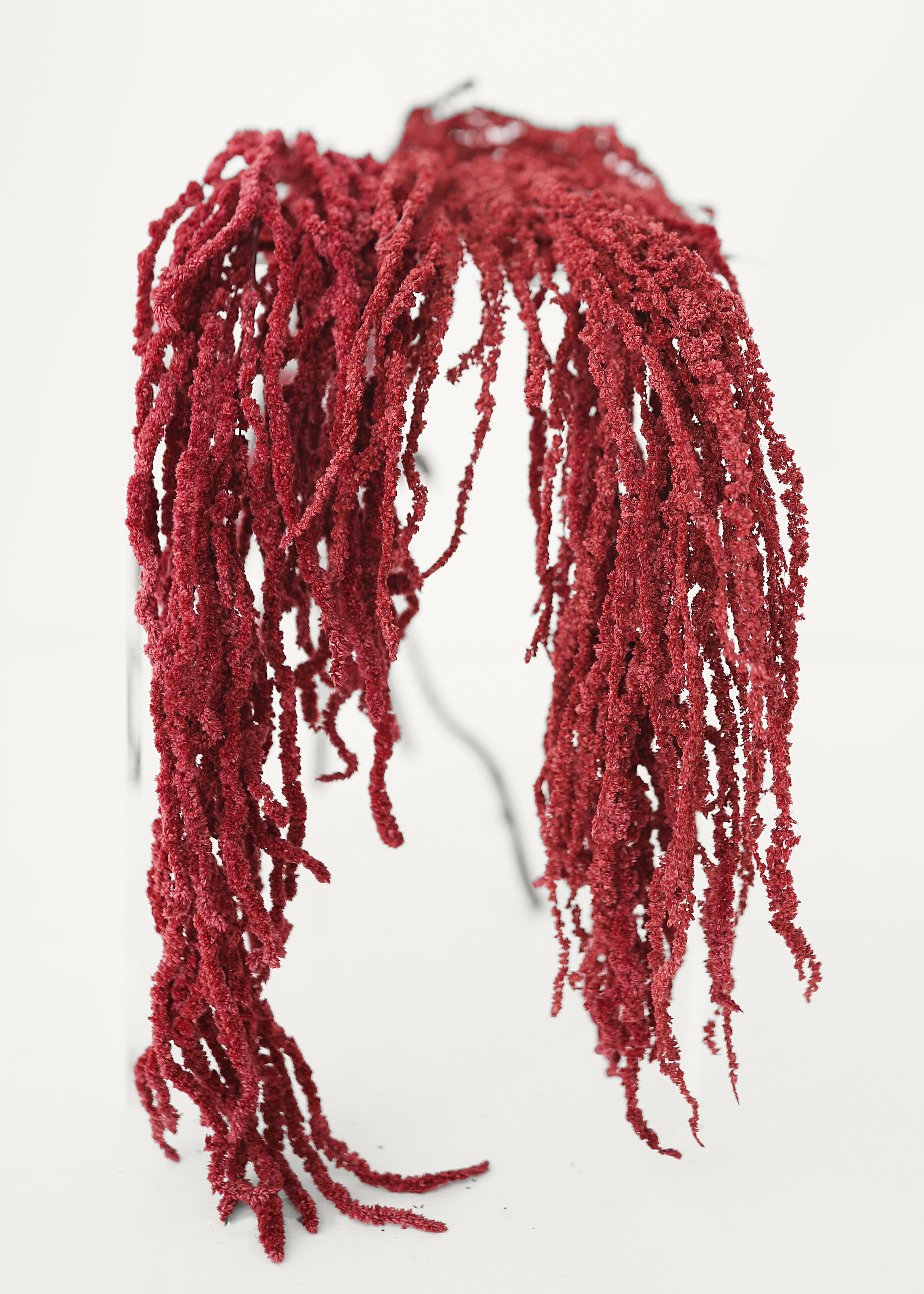 Burgundy Dried Hanging Amaranthus for Home Decor
