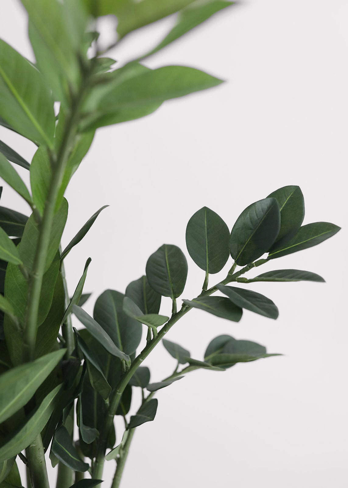 Green Artificial Zz Tropical for Table Centerpiece