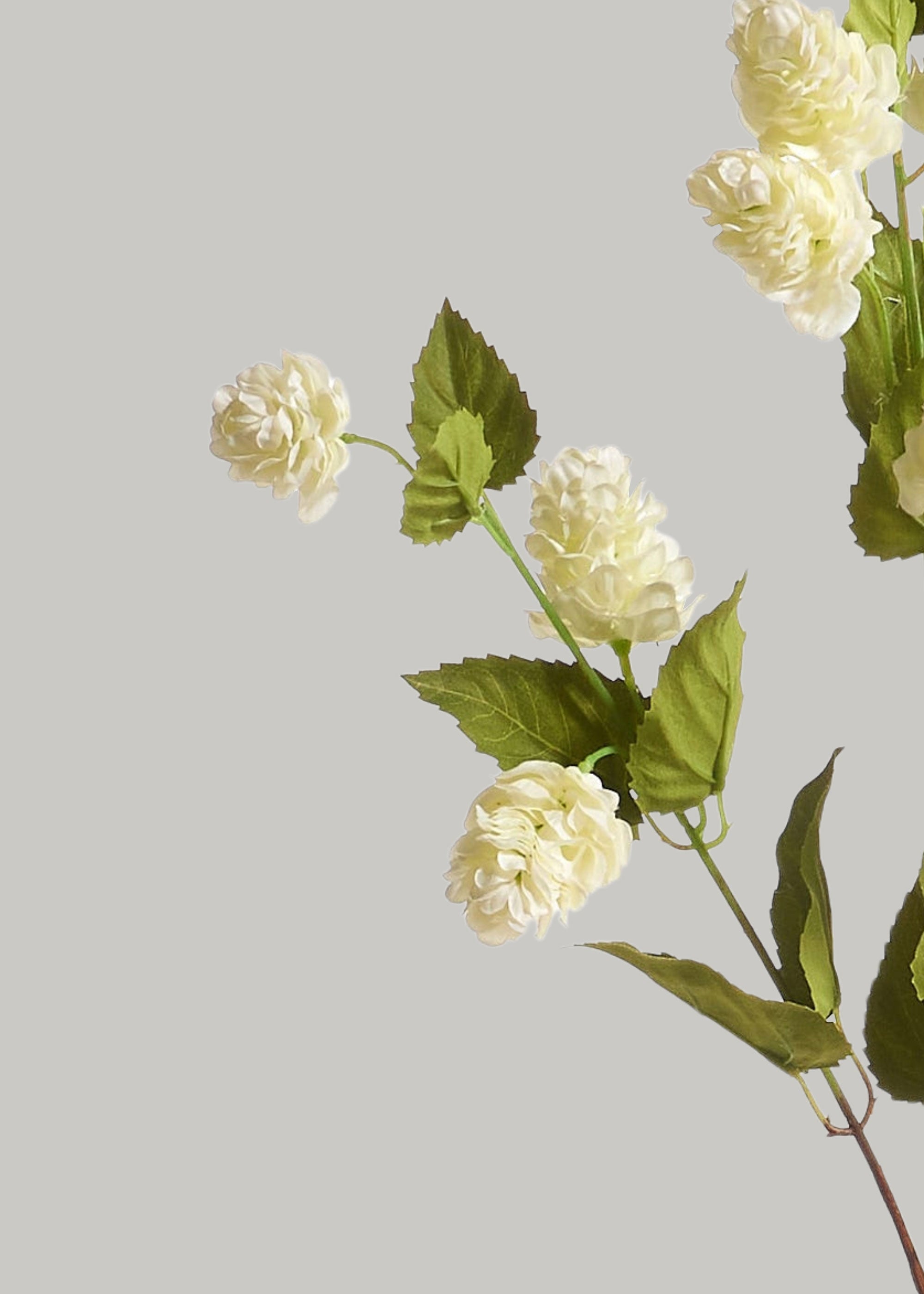 Cream Green Artificial Tall Hops Branch for Home Decor