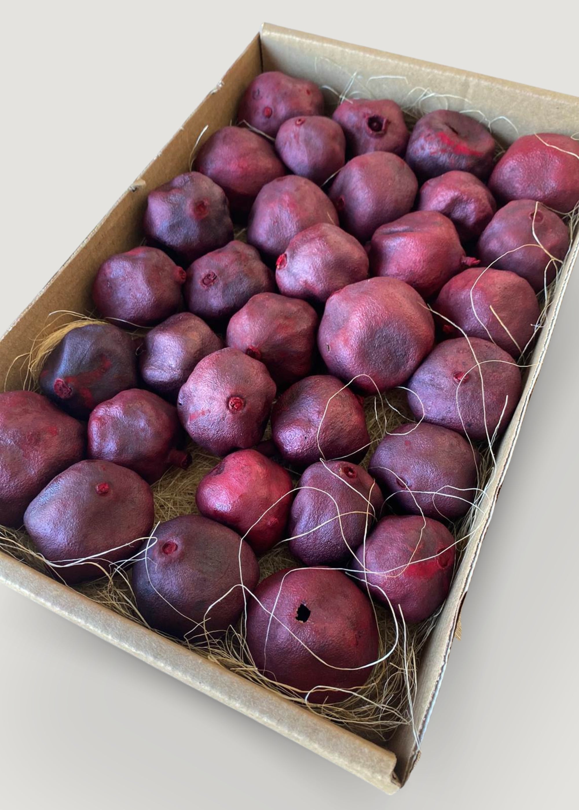 Red Dried Pack Red Pomegranate Fruits for Vase Styling