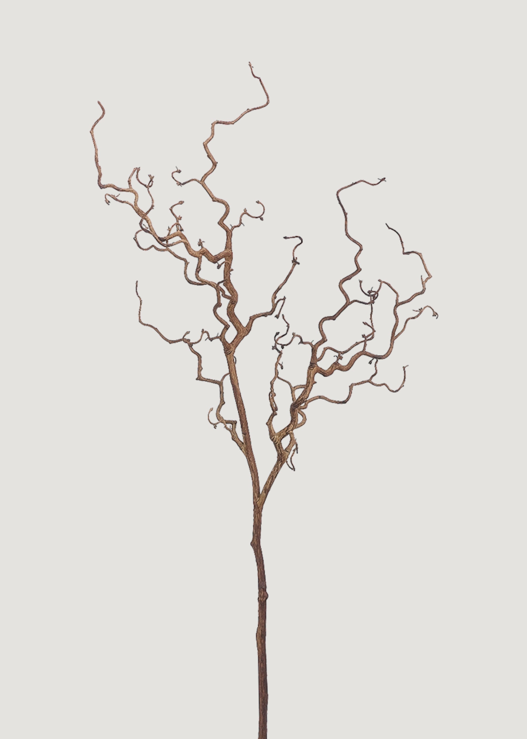 Green Artificial Look Tall Branch for Vase Styling