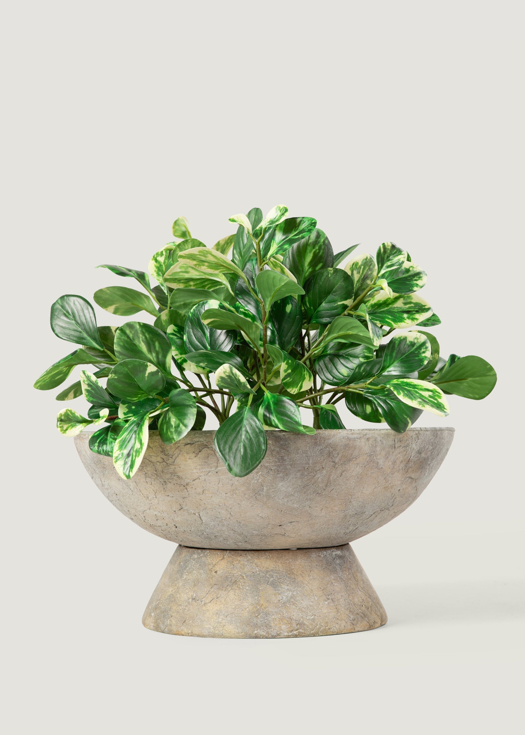 Green Artificial Small Peperomia for Home Decor