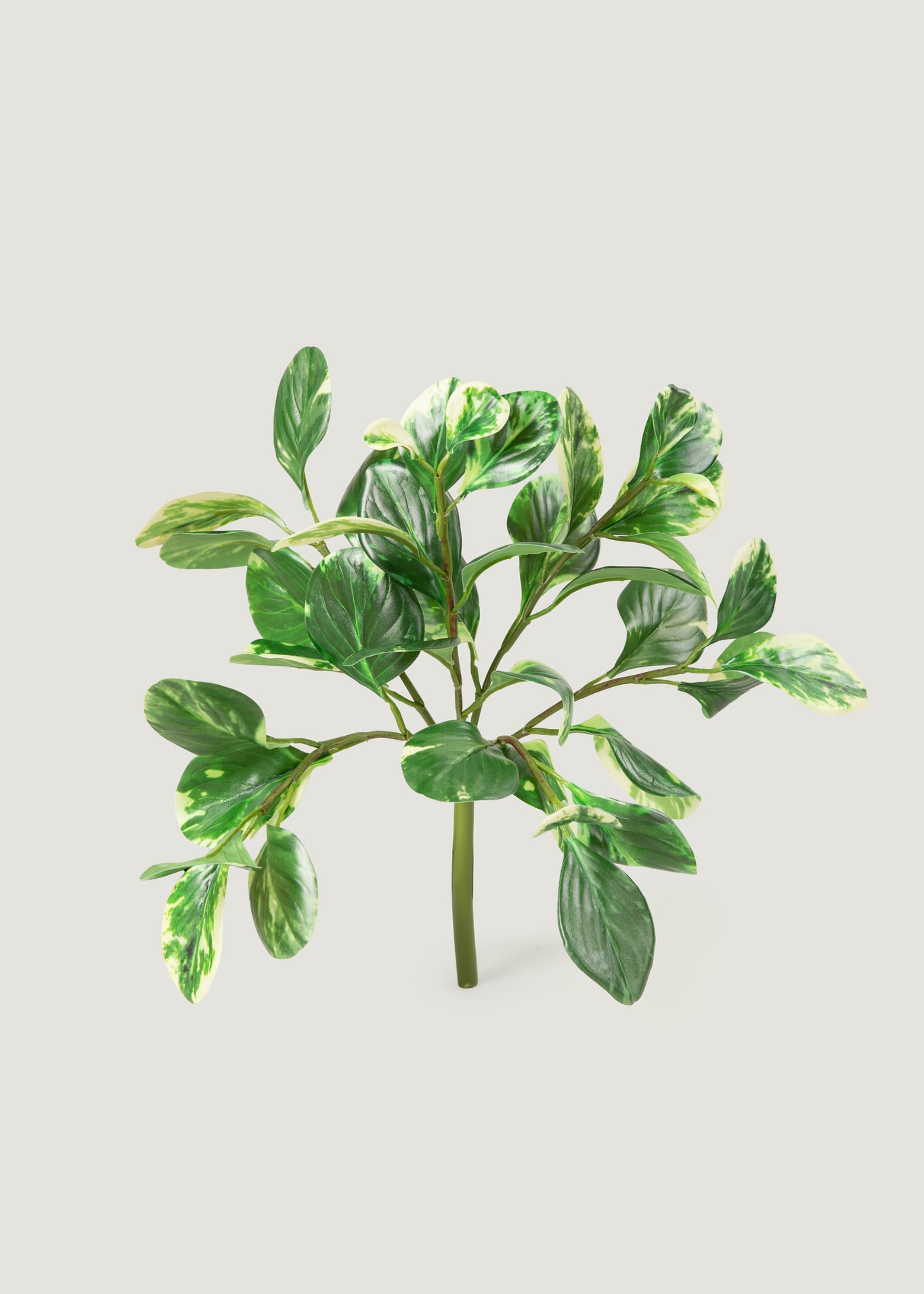 Green Artificial Small Peperomia for Vase Styling