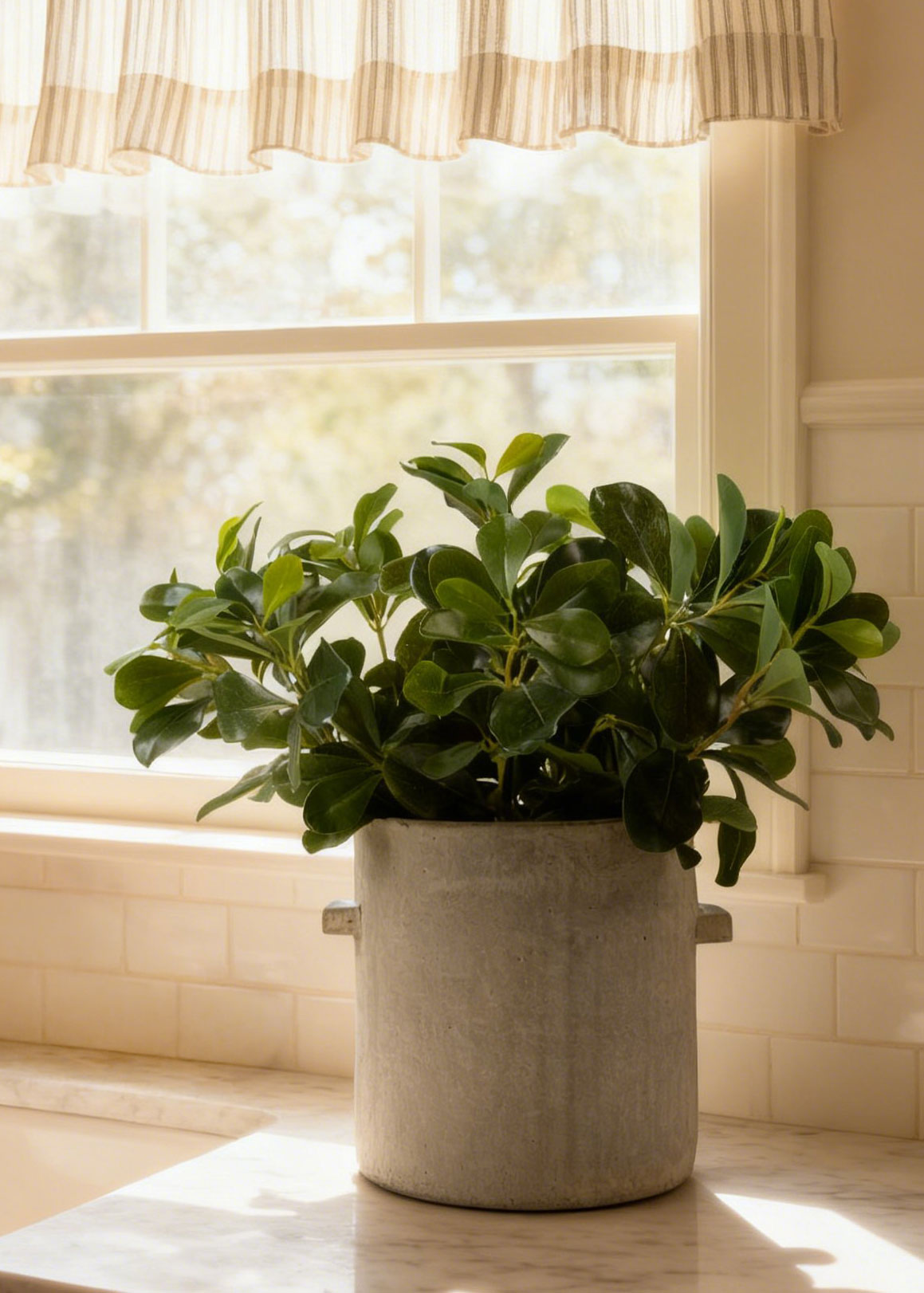 Natural Green Artificial Privet Stem for Home Decor