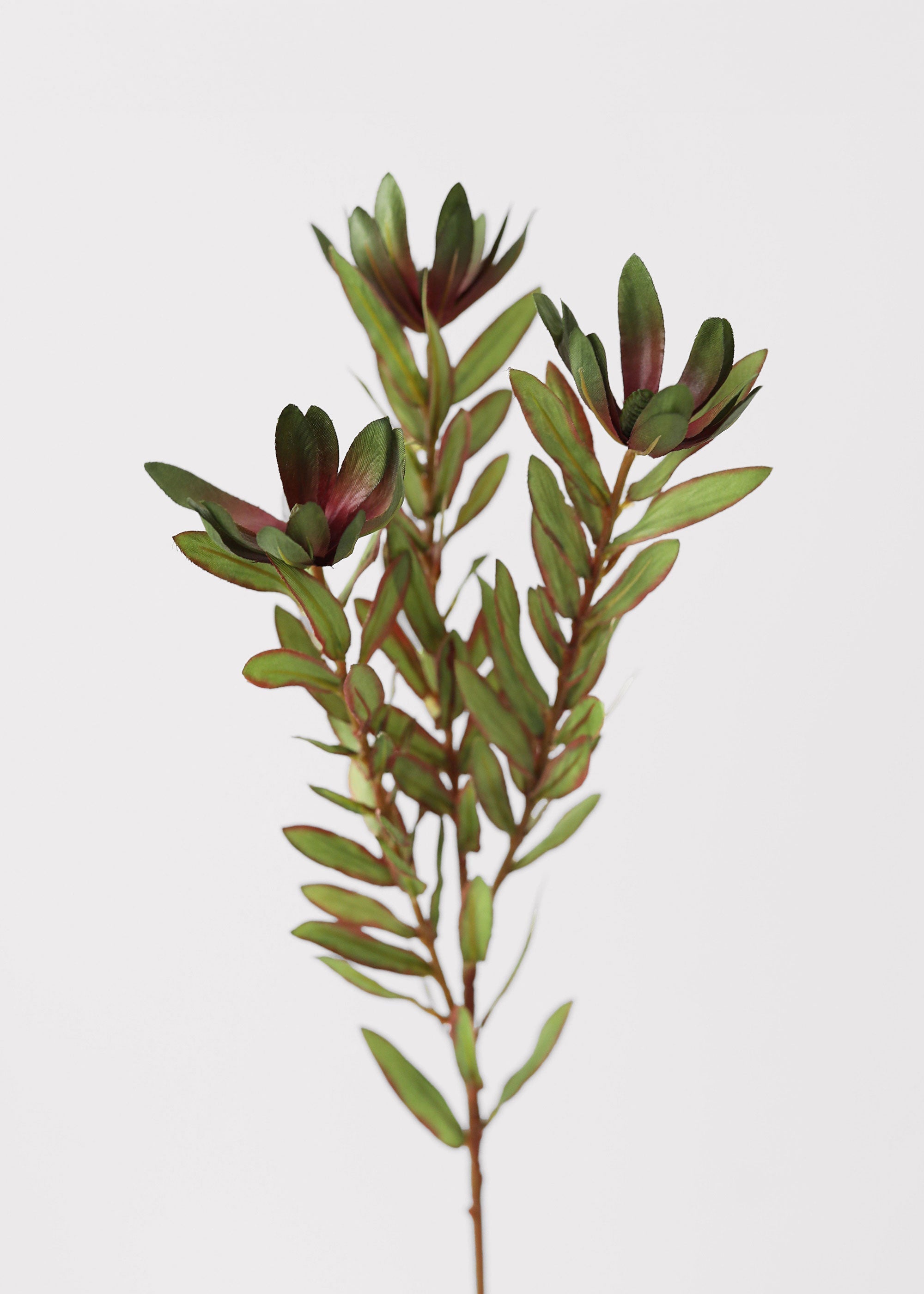 Green Artificial Wild Protea Foliage for Vase Styling