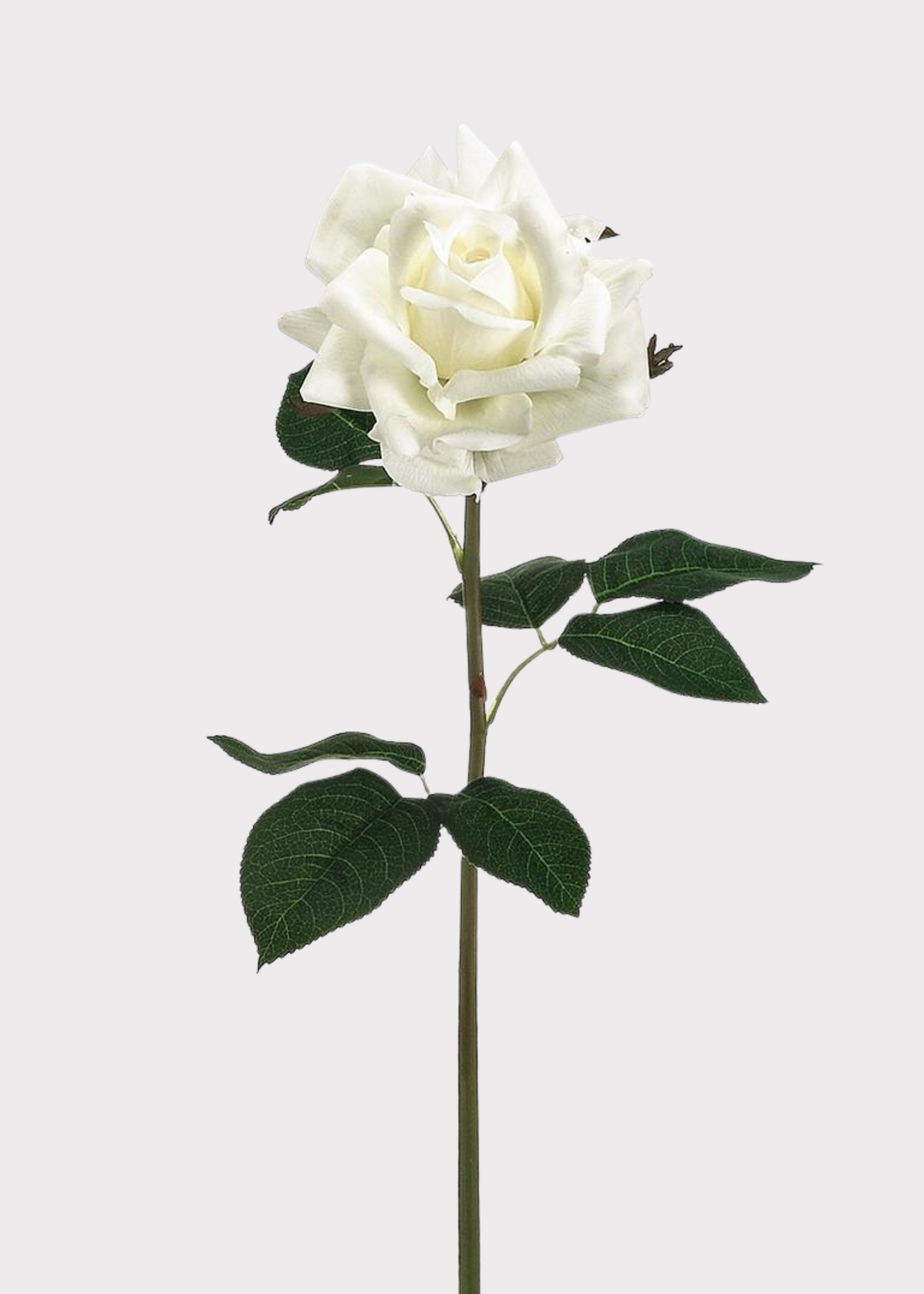 White Real Touch Artificial Rose Stem for Vase Styling